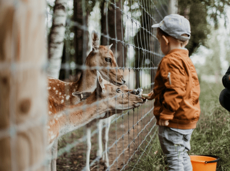 weidegeluk kinderboederij